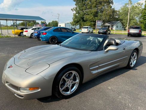 Used 1999 Chevrolet Corvette Convertible w/ Performance Handling Pkg RWD image 2