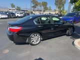 Used 2014 Honda Accord Sport image 2