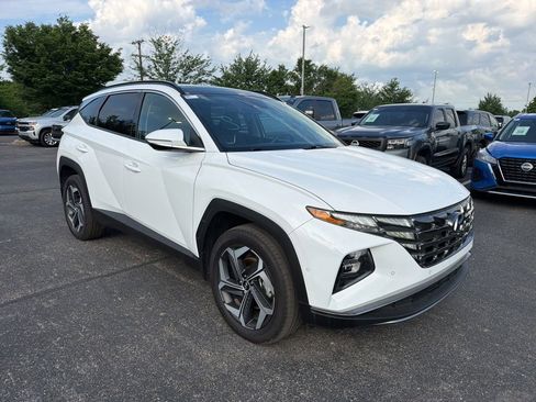 Used 2024 Hyundai Tucson Limited AWD/4WD image 2