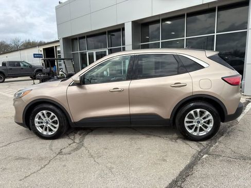 Used 2020 Ford Escape SE FWD image 4