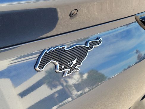 Used 2021 Ford Mustang Mach-E Premium image 12