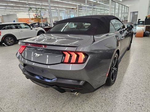 Used 2025 Ford Mustang Premium RWD image 5