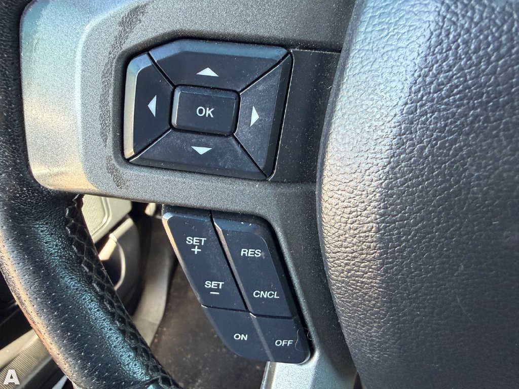 Used 2019 Ford F150 Raptor w/ Equipment Group 801A Mid AWD/4WD image 21