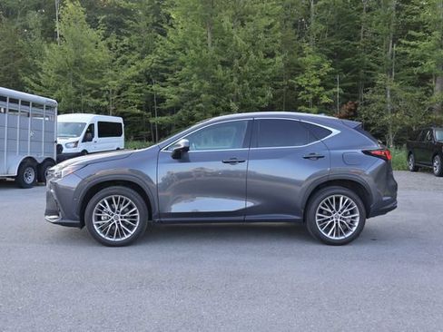 Used 2025 Lexus NX 350 AWD w/ Rear Seat Package image 4