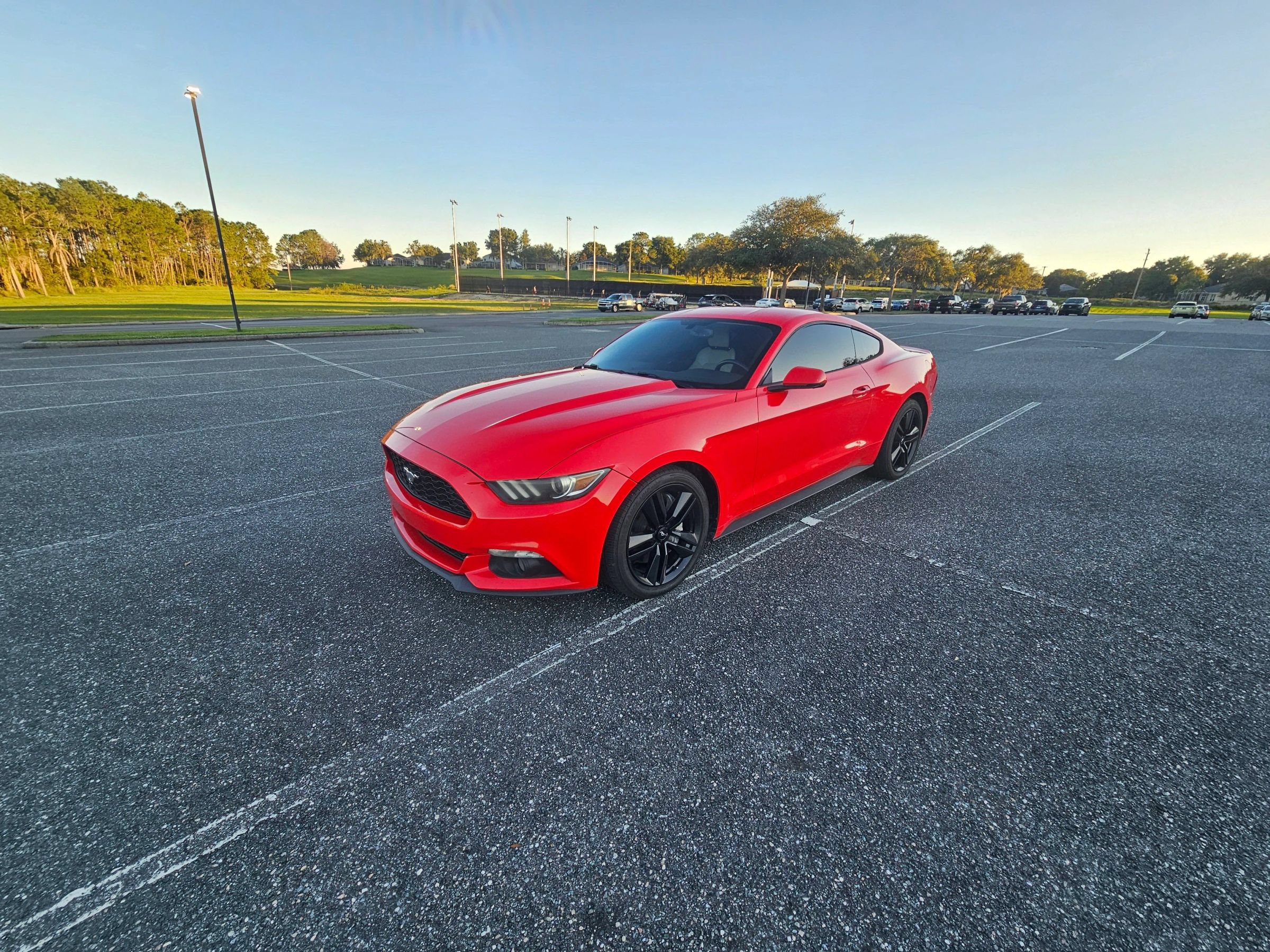 Used 2015 Ford Mustang Premium w/ Ecoboost Performance Package RWD image 1