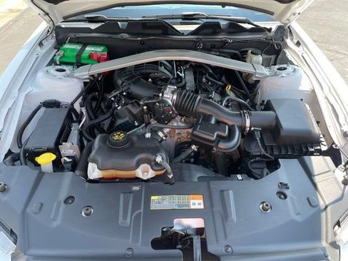 Used 2014 Ford Mustang Premium w/ Equipment Group 202A image 2