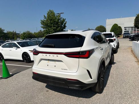 Used 2024 Lexus NX 250 FWD w/ Cold Area Package image 4