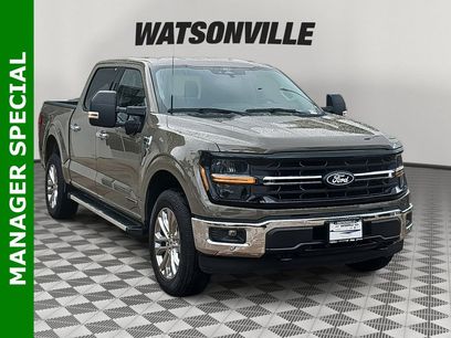 New 2025 Ford F150 XLT w/ Equipment Group 302A MID