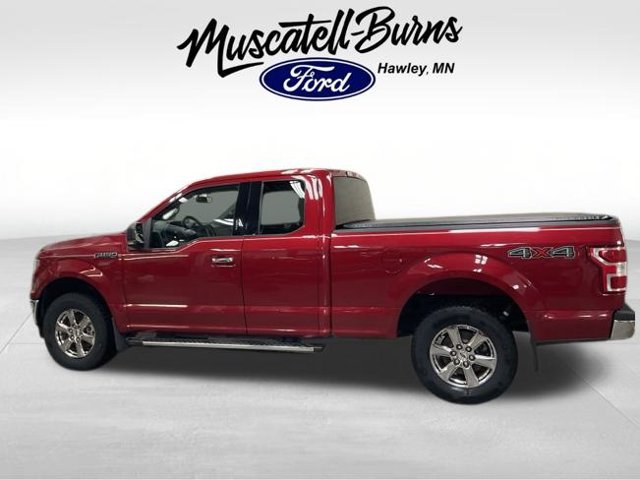 Used 2020 Ford F150 XLT w/ Equipment Group 302A Luxury AWD/4WD image 4