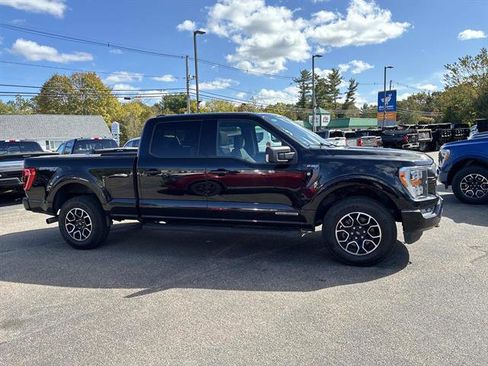 Certified 2023 Ford F150 XLT w/ Equipment Group 302A High image 8