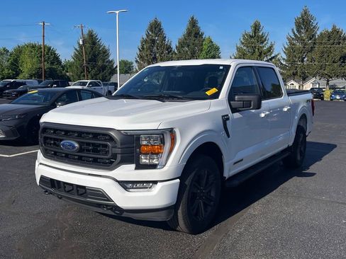 Used 2023 Ford F150 XLT w/ Equipment Group 302A High image 2