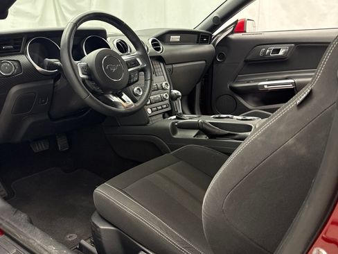 Used 2019 Ford Mustang Coupe RWD image 9
