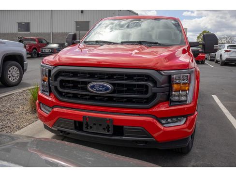 Used 2023 Ford F150 XLT w/ Equipment Group 302A High AWD/4WD image 5