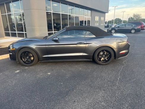 Used 2018 Ford Mustang Premium RWD image 14