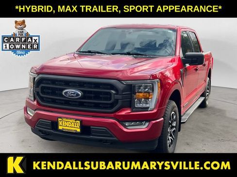 Used 2022 Ford F150 XLT w/ Equipment Group 302A High AWD/4WD image 1