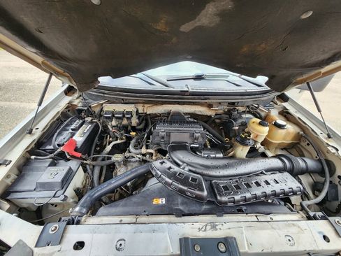 Used 2006 Ford F150 FX4 image 13