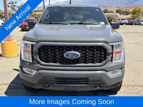 Used 2021 Ford F150 XL w/ STX Appearance Package AWD/4WD image 2