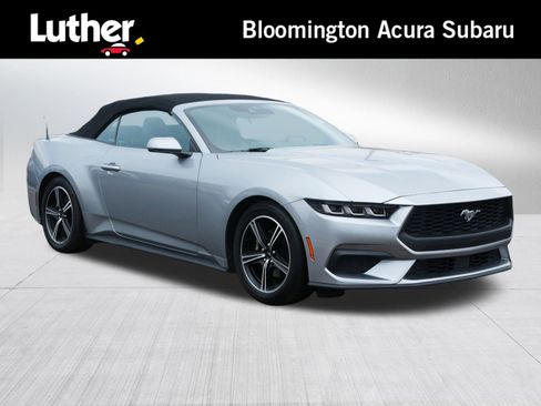 Used 2024 Ford Mustang Premium image 1