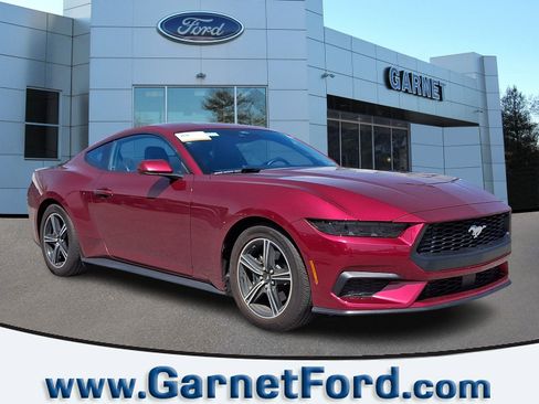 Used 2025 Ford Mustang Coupe RWD image 1