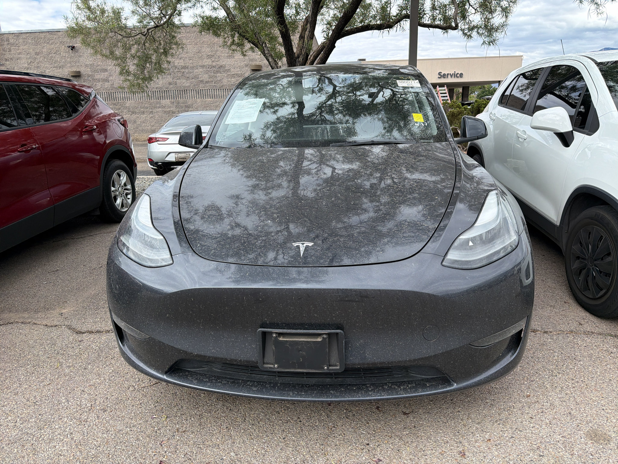 Used 2024 Tesla Model Y Long Range AWD/4WD image 2