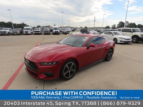 Used 2024 Ford Mustang Coupe RWD image 1