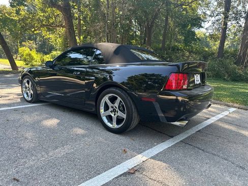 Used 2003 Ford Mustang Cobra RWD image 7