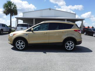 Used 2014 Ford Escape Titanium image 1