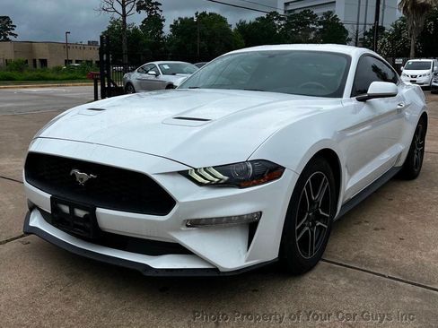 Used 2019 Ford Mustang Coupe w/ Equipment Group 101A RWD image 1