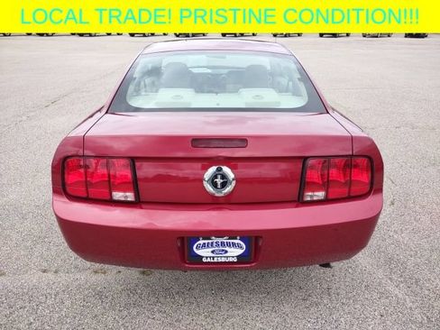 Used 2005 Ford Mustang Coupe RWD image 5