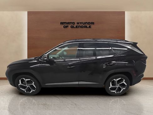 Used 2024 Hyundai Tucson Limited AWD/4WD image 3