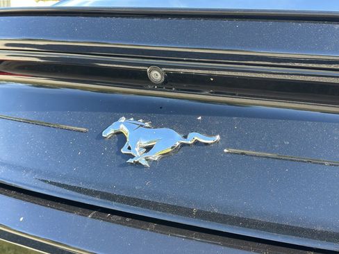 Used 2018 Ford Mustang Premium w/ Equipment Group 201A image 13