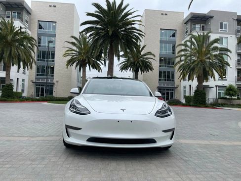 Used 2019 Tesla Model 3 Standard Range Plus image 4