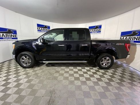 Used 2023 Ford F150 XLT w/ Equipment Group 302A High AWD/4WD image 10