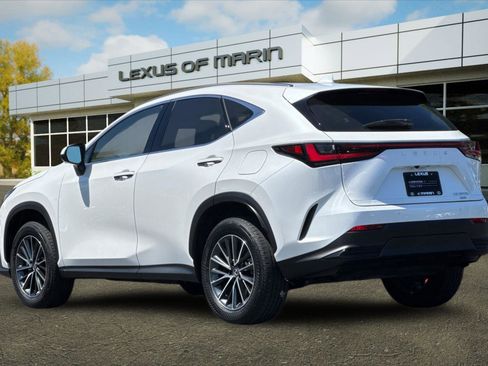 Used 2025 Lexus NX 350h AWD w/ Cold Area Package image 3