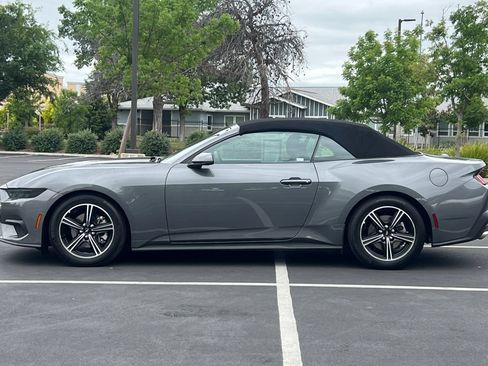 Used 2025 Ford Mustang Convertible RWD image 14