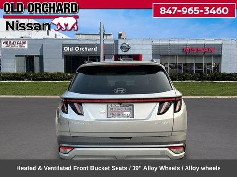 Used 2025 Hyundai Tucson Limited AWD/4WD image 7