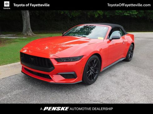 Used 2025 Ford Mustang Premium w/ Mustang Nite Pony Package RWD image 1