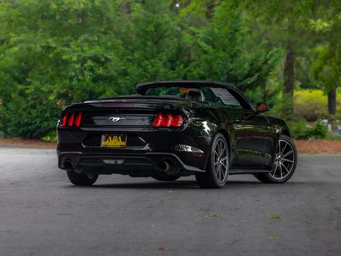 Used 2019 Ford Mustang Premium w/ Equipment Group 201A RWD image 7