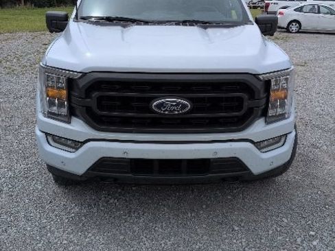 Used 2021 Ford F150 XLT w/ Equipment Group 302A High AWD/4WD image 2