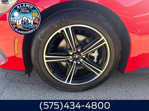 New 2025 Ford Mustang EcoBoost image 2