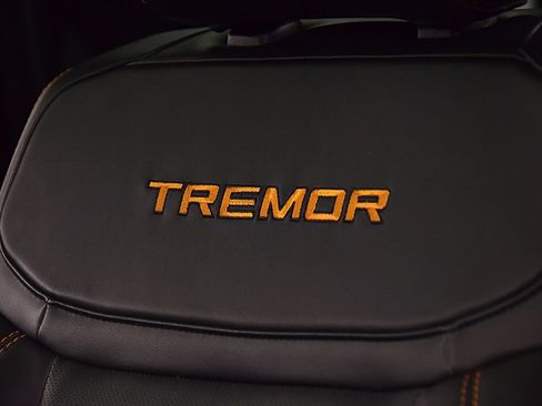 Used 2025 Ford Expedition Tremor AWD/4WD image 31