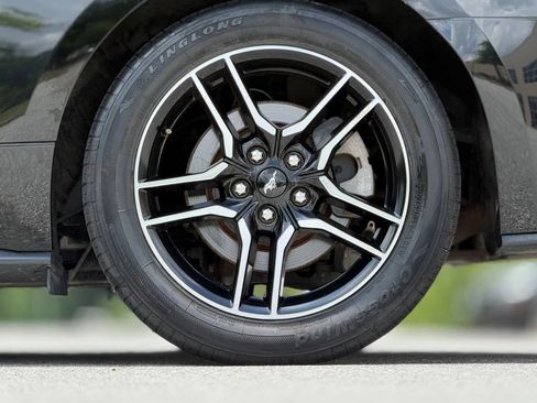 Used 2019 Ford Mustang Premium RWD image 21