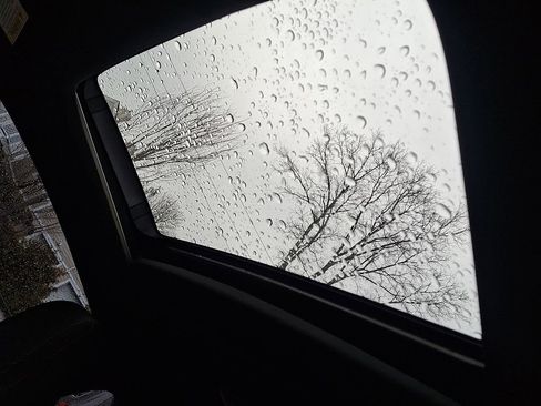 Used 2019 Honda Civic Si image 14