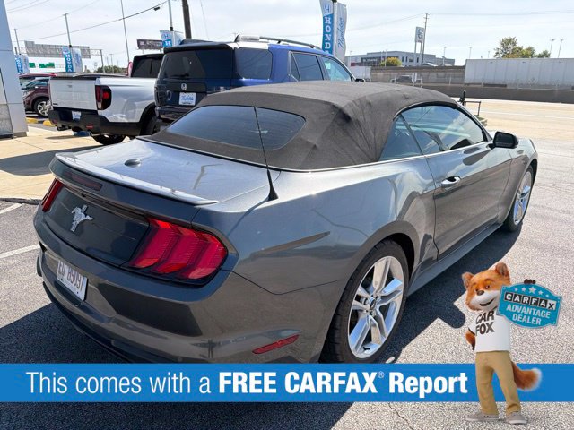 Used 2020 Ford Mustang Premium w/ Equipment Group 201A RWD image 2