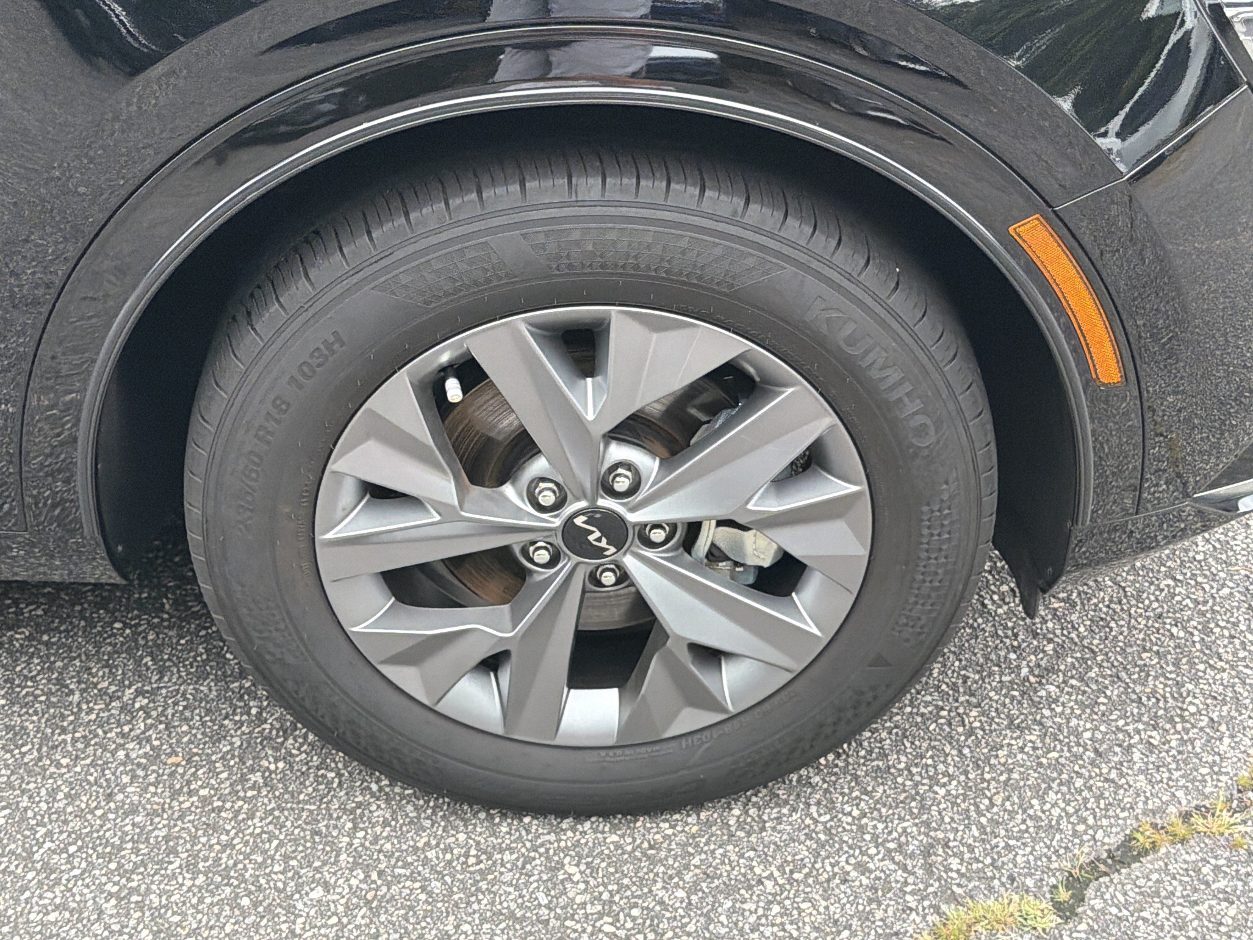 Certified 2024 Kia Sportage SX FWD image 12