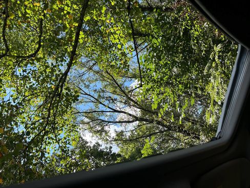 Used 2016 Jeep Compass High Altitude image 10