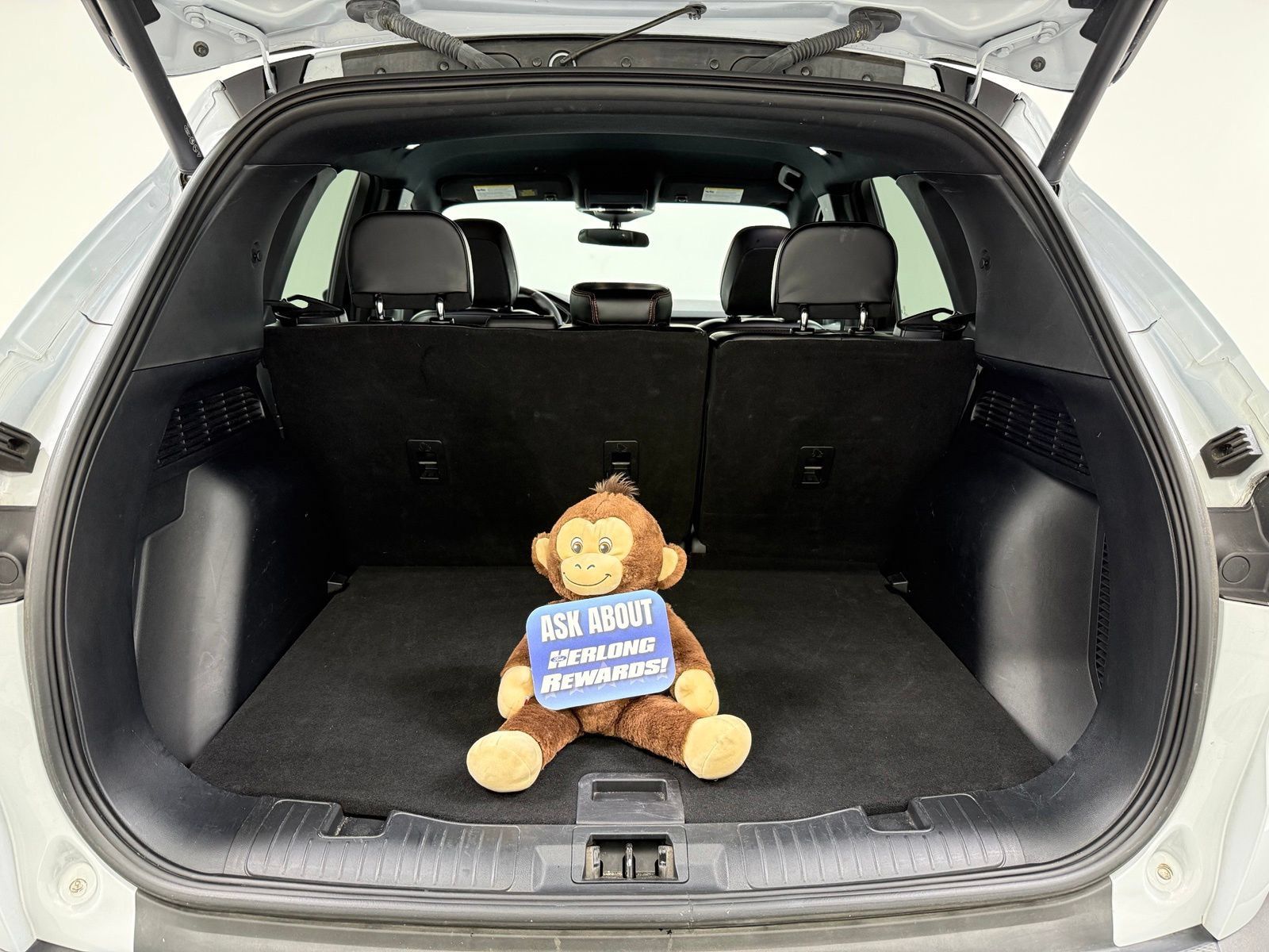 Used 2025 Ford Escape ST-Line Select AWD/4WD image 9