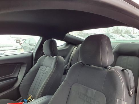 Used 2019 Ford Mustang Coupe w/ Ecoboost Performance Package image 15