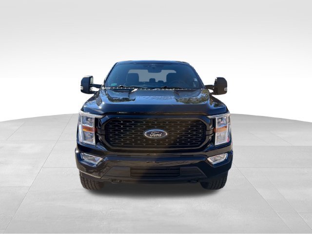 Used 2022 Ford F150 XL w/ STX Appearance Package AWD/4WD image 8