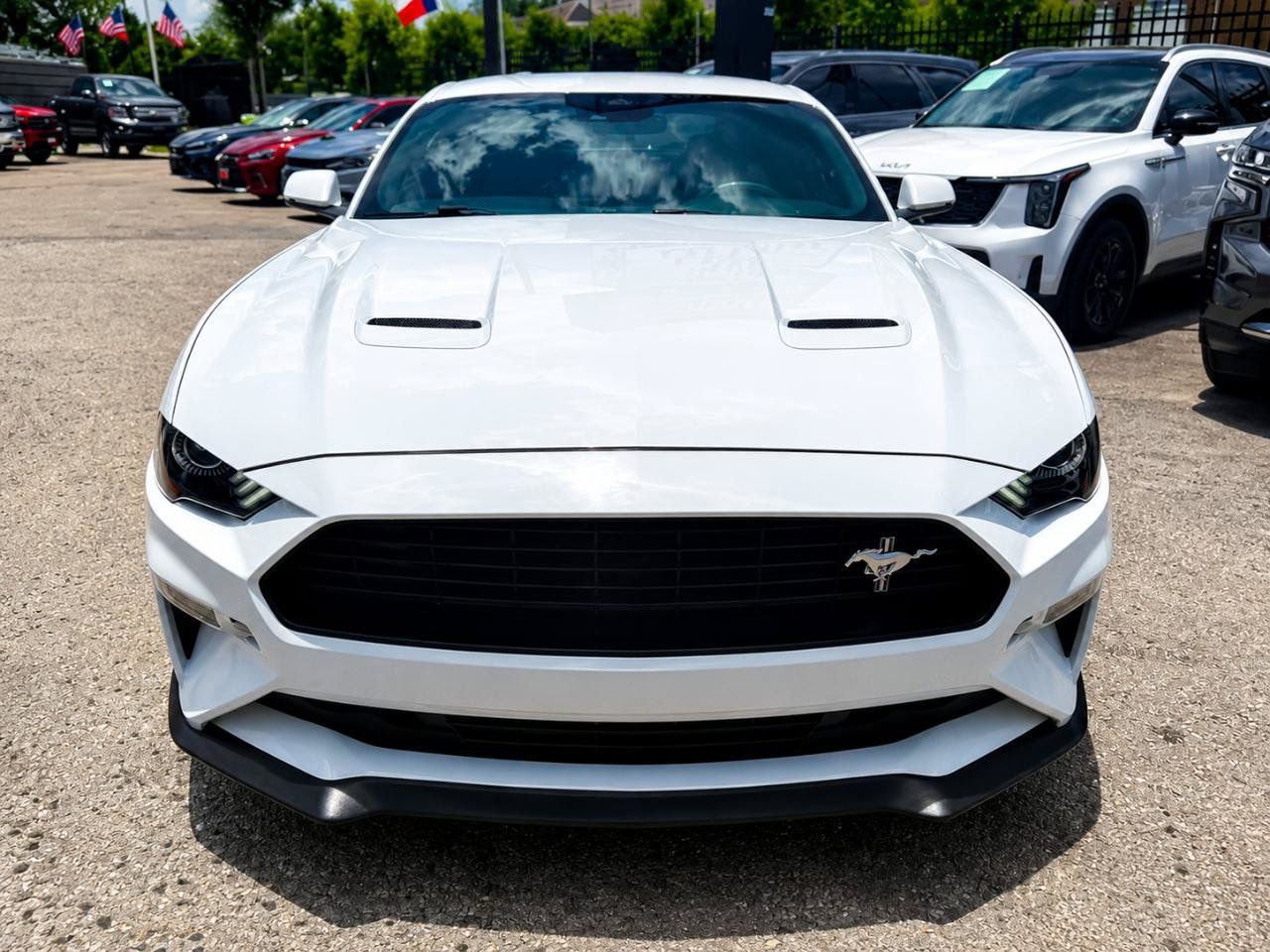 Used 2019 Ford Mustang GT Premium w/ Equipment Group 401A RWD image 4